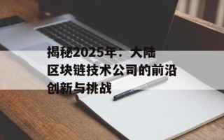 揭秘2025年：大陆区块链技术公司的前沿创新与挑战