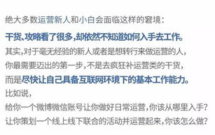 后营露宿技巧与安全指南-户外生存技能全解析