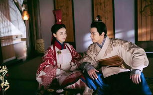《囚宠》：情感纠葛与人性探索-文学作品的深度解读