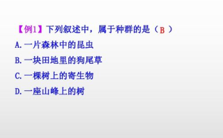 第四季魅力解析-季节特点与庆祝活动指南