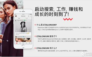 tvb粤语屋,粤语剧集爱好者的首选平台-观看攻略与优势分析