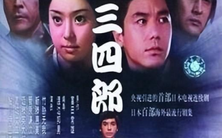 中国经典40部电视剧推荐-不可错过的影视佳作