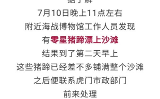 建立信任，爱我就别想太多-情感关系中的透明度与安全感