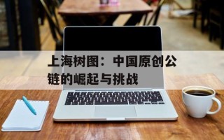 上海树图：中国原创公链的崛起与挑战