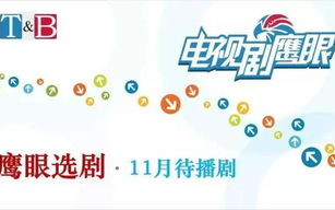 全国卫视直播在线观看指南-主流平台介绍与使用方法