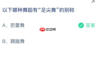 以下哪种舞蹈有足尖舞的别称