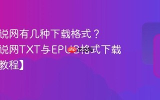 久久小说网有几种下载格式？久久小说网TXT与EPUB格式下载选择【教程】