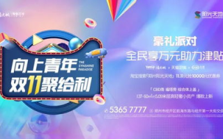 河南卫视直播,打造中原文化传播新平台-观看体验优化解析