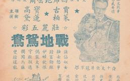 金鸳鸯电影,艺术魅力与时代意义-深度解析