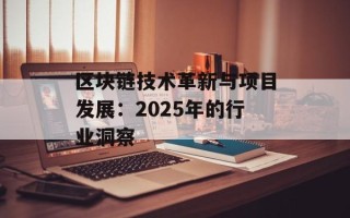 区块链技术革新与项目发展：2025年的行业洞察