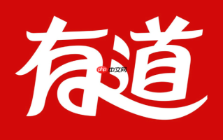 有道网页版在线翻译入口 官方翻译器入口