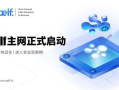 区块链浏览器：深入解析去中心化世界的信息透明利器