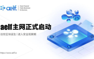 区块链浏览器：深入解析去中心化世界的信息透明利器
