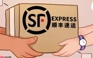 顺丰速运包裹跟踪查询 顺丰快递最新物流动态