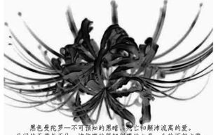 揭秘彼岸花，寓意与养护技巧-深入了解其文化内涵