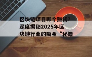 区块链项目哪个赚钱？深度揭秘2025年区块链行业的吸金“秘籍”