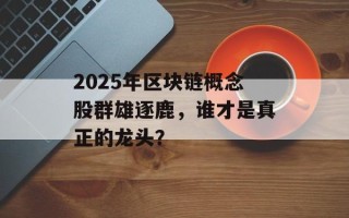 2025年区块链概念股群雄逐鹿，谁才是真正的龙头？