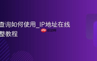 IP地址查询如何使用_IP地址在线查询完整教程