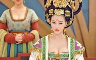 《武媚娘传奇》电视剧深度解析-艺术价值与历史背景探究