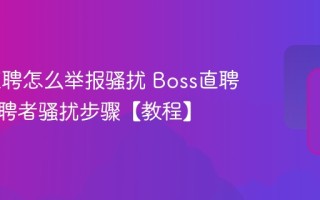 Boss直聘怎么举报骚扰 Boss直聘举报招聘者骚扰步骤【教程】