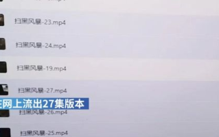 扫黑风暴第28集免费完整版-合法观看途径及剧情解析