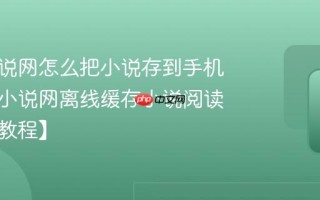 久久小说网怎么把小说存到手机？久久小说网离线缓存小说阅读指南【教程】