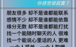 我只在乎你,情感营销策略-SEO内容优化实践