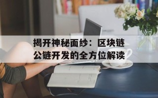 揭开神秘面纱：区块链公链开发的全方位解读