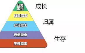 韩剧tv下载app选择指南-功能与安全性解析