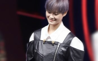 李宇春：音乐与个性的完美融合