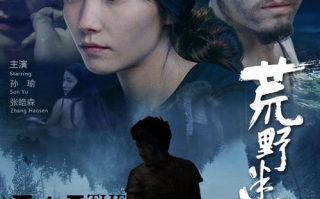 荒野电影在线观看全攻略-免费完整版观影体验