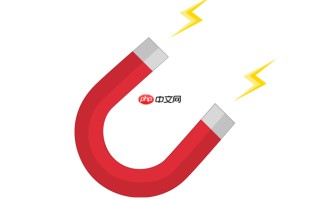 磁力多官方网址入口