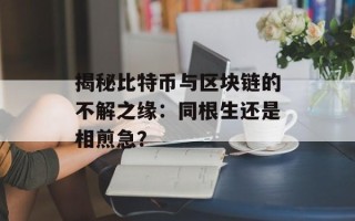 揭秘比特币与区块链的不解之缘：同根生还是相煎急？