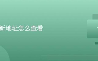 电脑刷新地址怎么查看
