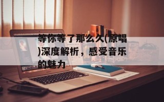 等你等了那么久(原唱)深度解析，感受音乐的魅力