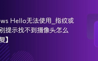 Windows Hello无法使用_指纹或面部识别提示找不到摄像头怎么办【修复】