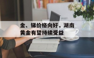 金、锑价格向好，湖南黄金有望持续受益