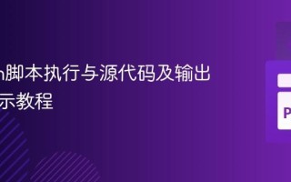 Python脚本执行与源代码及输出同步展示教程