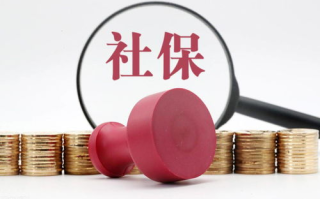 年轻小峓子互联网行为分析-SEO策略与实践