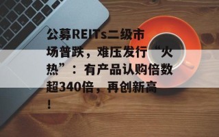 公募REITs二级市场普跌，难压发行“火热”：有产品认购倍数超340倍，再创新高！