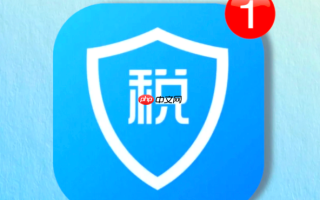个人所得税官网入口 个人所得税申报系统网页版入口