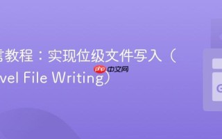 Go语言教程：实现位级文件写入（Bit-Level File Writing）