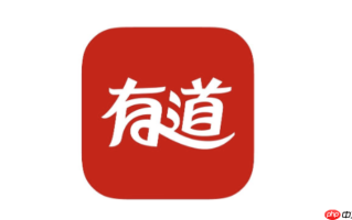 有道人工翻译入口 专业翻译服务官方入口