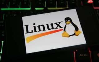 LINUX如何压缩与解压文件_Linux中tar命令打包与解包的常用参数