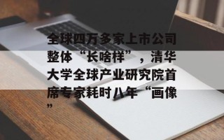 全球四万多家上市公司整体“长啥样”，清华大学全球产业研究院首席专家耗时八年“画像”