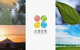 2025年手机影视行业洞察：趋势、挑战与机遇
