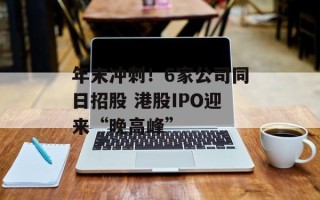 年末冲刺！6家公司同日招股 港股IPO迎来“晚高峰”