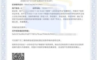 上海区块链存证规定：创新与实践的双重奏