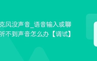 电脑麦克风没声音_语音输入或聊天对方听不到声音怎么办【调试】