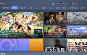 中国免费高清视频在线观看平台及优化策略